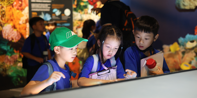 D-PREP International School