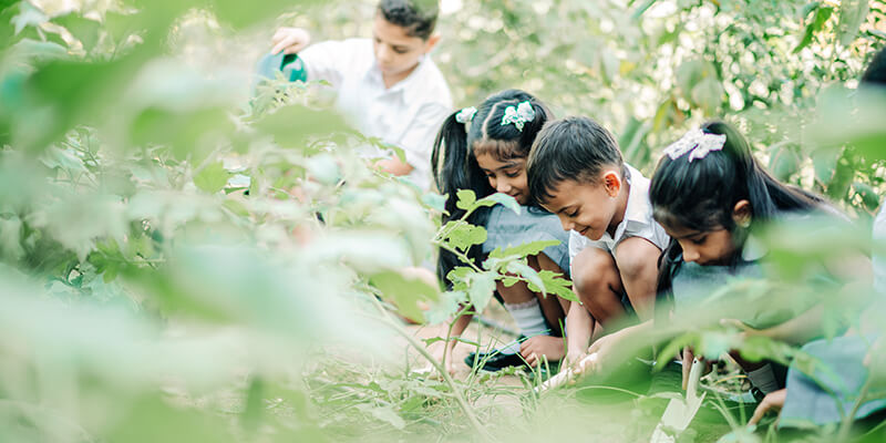 North Gate British Private School