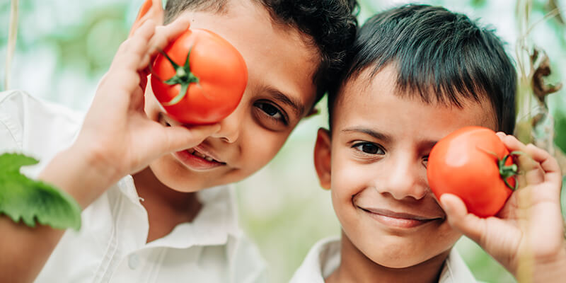 North Gate British Private School