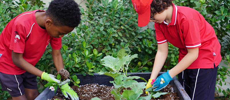 Le Jardin Suisse: A Natural Sanctuary for Learning at SISD