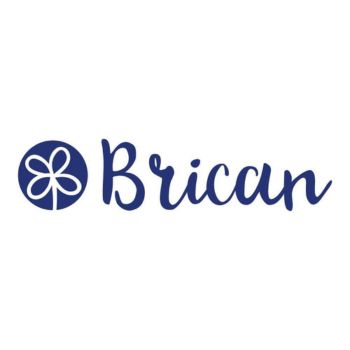 Brican English For Work